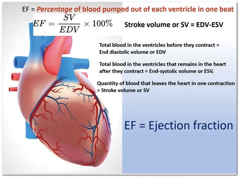 what does ejection fraction mean